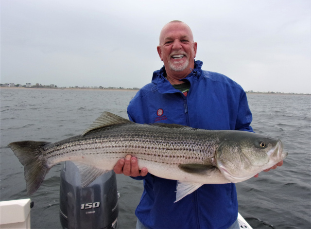 Inshore Striped Bass Fishing Charters Near Me